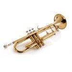 Fotolia_70888623_XS-1 einzelne trompete_quadrat